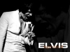 Elvis Presley galria