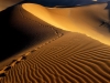 Sivatag galria